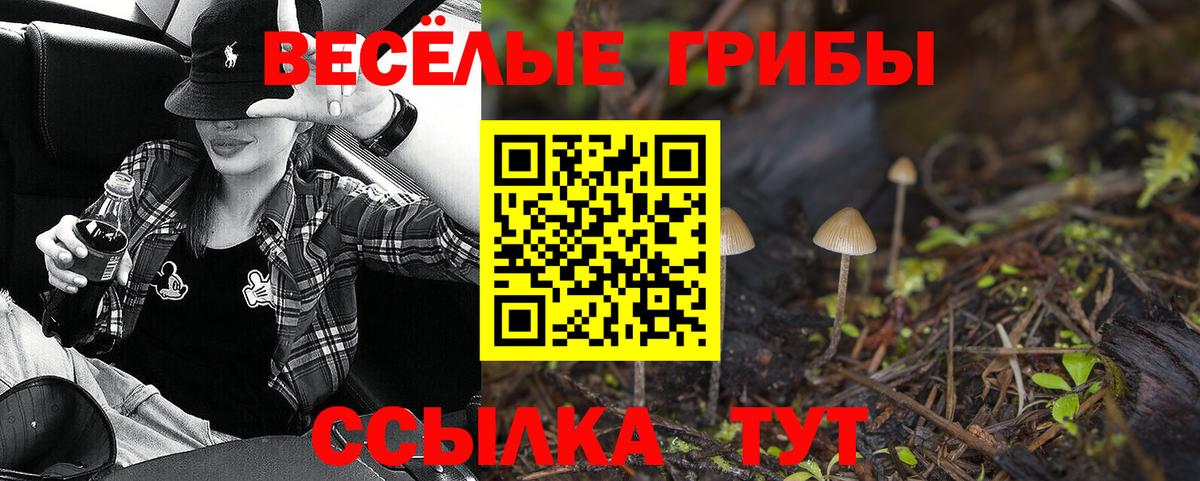 Нарткала  хочу наркоту  Вход с VPN  Галлюциногенные грибы ЛСД 
