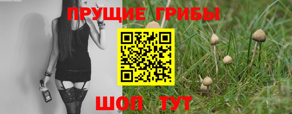 Галлюциногенные грибы прущие грибы Нарткала